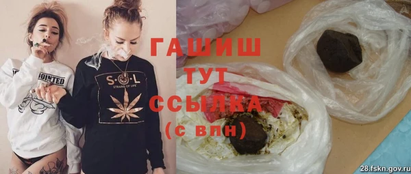 индика Арсеньев