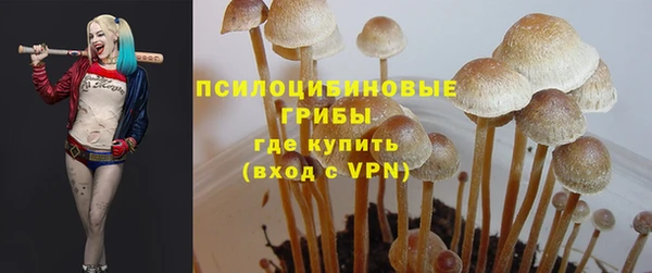индика Арсеньев