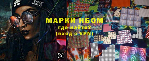 индика Арсеньев