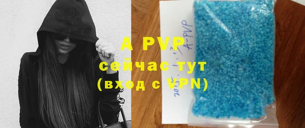 сатива Аркадак