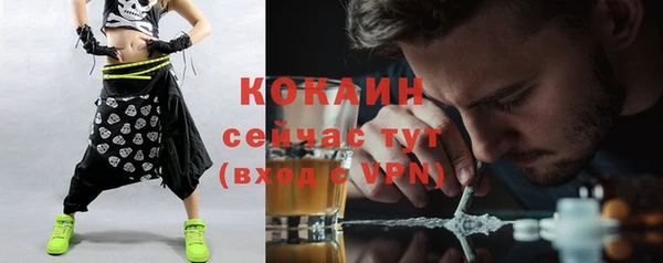 индика Арсеньев