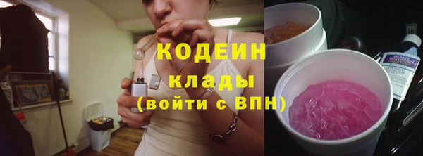 индика Арсеньев