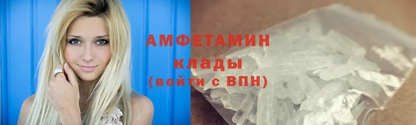 индика Арсеньев