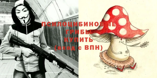 сатива Аркадак