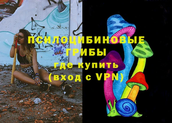 сатива Аркадак