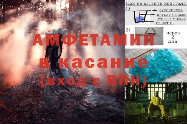 индика Арсеньев