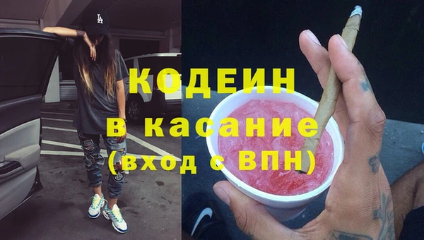 сатива Аркадак