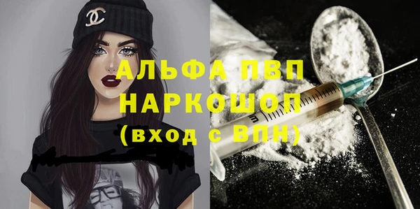сатива Аркадак