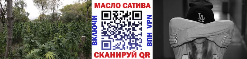 наркота  Змеиногорск  ТГК концентрат 