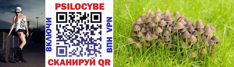Галлюциногенные грибы MAGIC MUSHROOMS  Змеиногорск 
